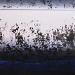 n81 - 100x100 - 2015
