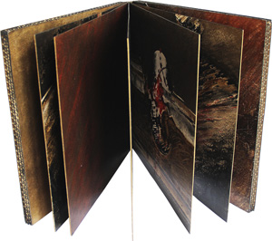 Un livre sans nom 1995